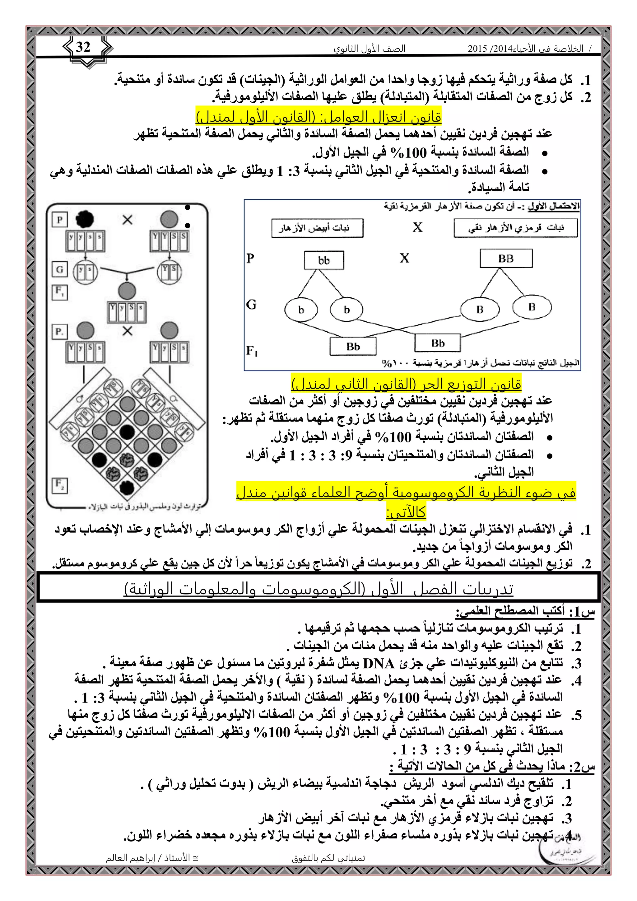 4102 الصف الأول الثانوي 32 / الخلاصة في الأحياء 4102  
1. كل صفة وراثية يتحكم فيها زوجا واحدا من العوامل الوراثية )الجينات( قد تكون سائدة أو متنحية. 
2. كل زوج من الصفات المتقابلة )المتبادلة( يطلق عليها الصفات الأليلومورفية. 
قانون انعزال العوامل: )القانون الأول لمندل( 
عند تهجين فردين نقيين أحدهما يحمل الصفة السائدة والثاني يحمل الصفة المتنحية تظهر 
الصفة السائدة بنسبة 111 % في الجيل الأول.  
1 ويطلق علي هذه الصفات الصفات المندلية وهي : الصفة السائدة والمتنحية في الجيل الثاني بنسبة 3  
الأستاذ / إبراهيم العالم  تمنياتي لكم بالتفوق 
تامة السيادة. 
 
 
قانون التوزيع الحر )القانون الثاني لمندل( 
عند تهجين فردين نقيين مختلفين في زوجين أو أكثر من الصفات 
الأليلومورفية )المتبادلة( تورث صفتا كل زوج منهما مستقلة ثم تظهر: 
الصفتان السائدتان بنسبة 111 % في أفراد الجيل الأول.  
1 في أفراد : 3 : 3 : الصفتان السائدتان والمتنحيتان بنسبة 9  
الجيل الثاني. 
في ضوء النظرية الكروموسومية أوضح العلماء قوانين مندل 
كالآتي: 
1. في الانقسام الاختزالي تنعزل الجينات المحمولة علي أزواج الكر وموسومات إلي الأمشاج وعند الإخصاب تعود 
الكر وموسومات أزواجا من جديد. 
2. توزيع الجينات المحمولة علي الكر وموسومات في الأمشاج يكون توزيعا حراً لأن كل جين يقع علي كروموسوم مستقل. 
تدريبات الفصل الأول )الكروموسومات والمعلومات الوراثية( 
س 1: أكتب المصطلح العلمي: 
1. ترتيب الكروموسومات تنازليا حسب حجمها ثم ترقيمها . 
2. تقع الجينات عليه والواحد منه قد يحمل مئات من الجينات . 
يمثل شفرة لبروتين ما مسئول عن ظهور صفة معينة . DNA 3. تتابع من النيوكليوتيدات علي جزئ 
4. عند تهجين فردين نقيين أحدهما يحمل الصفة لسائدة ) نقية ( والأخر يحمل الصفة المتنحية تظهر الصفة 
. 1 : السائدة في الجيل الأول بنسبة 111 % وتظهر الصفتان السائدة والمتنحية في الجيل الثاني بنسبة 3 
5. عند تهجين فردين نقيين مختلفين في زوجين أو أكثر من الصفات الاليلومورفية تورث صفتا كل زوج منها 
مستقلة ، تظهر الصفتين السائدتين في الجيل الأول بنسبة 111 % وتظهر الصفتين السائدتين والمتنحيتين في 
. 1 : 3 : 3 : الجيل الثاني بنسبة 9 
س 2: ماذا يحدث في كل من الحالات الأتية : 
1. تلقيح ديك اندلسي أسود الريش دجاجة اندلسية بيضاء الريش ) بدوت تحليل وراثي ( . 
2. تزاوج فرد سائد نقي مع أخر متنحي. 
3. تهجين نبات بازلاء قرمزي الأزهار مع نبات آخر أبيض الأزهار 
4. تهجين نبات بازلاء بذوره ملساء صفراء اللون مع نبات بازلاء بذوره مجعده خضراء اللون. 
 