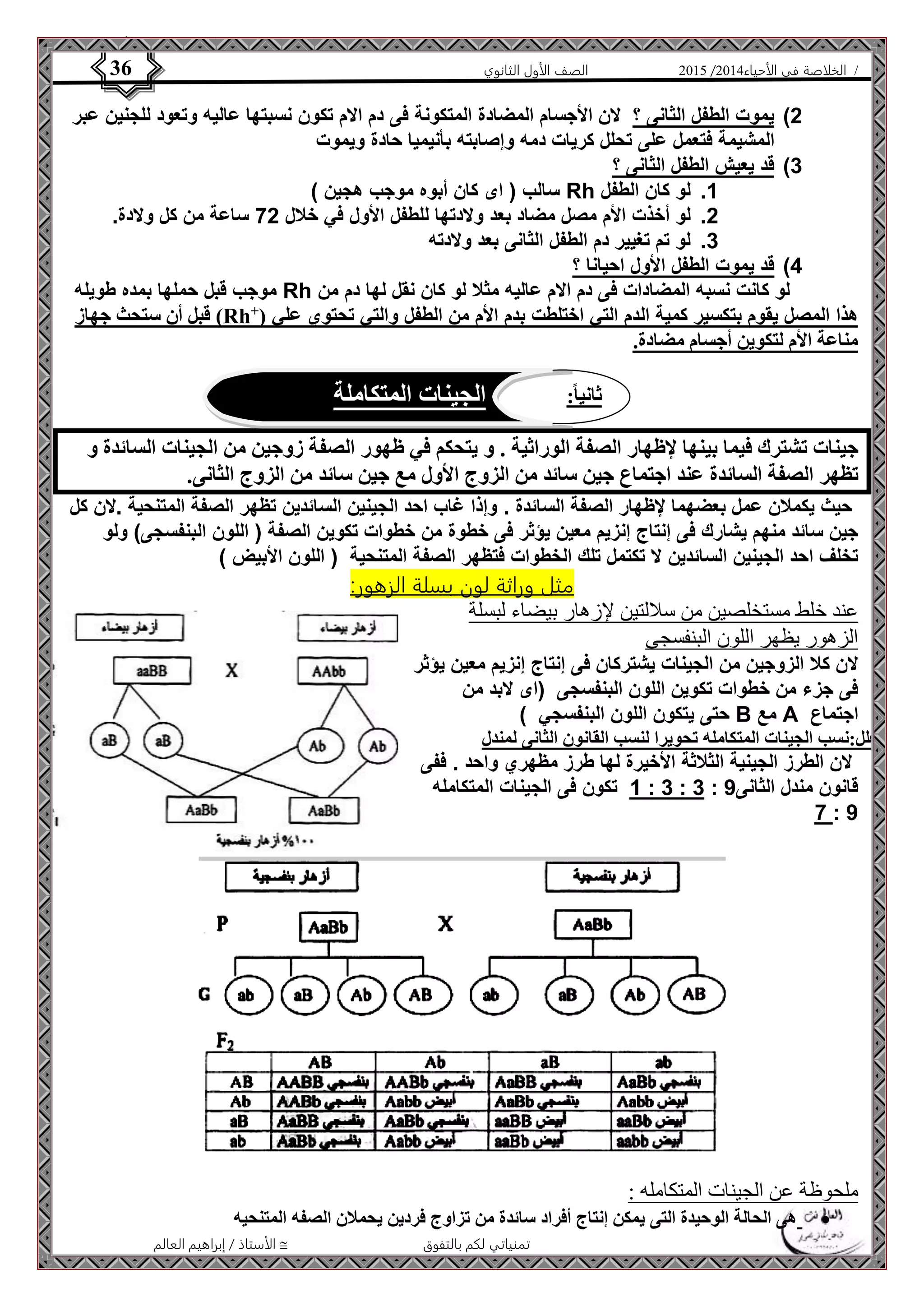 4102 الصف الأول الثانوي 36 / الخلاصة في الأحياء 4102  
2( يموت الطفل الثانى ؟ لان الأجسام المضادة المتكونة فى دم الام تكون نسبتها عاليه وتعود للجنين عبر 
المشيمة فتعمل على تحلل كريات دمه وإصابته بأنيميا حادة ويموت 
ثاني ا:ً الجينات المتكاملة 
الأستاذ / إبراهيم العالم  تمنياتي لكم بالتفوق 
3( قد يعيش الطفل الثانى ؟ 
سالب ) اى كان أبوه موجب هجين ( Rh 1. لو كان الطفل 
2. لو أخذت الأم مصل مضاد بعد ولادتها للطفل الأول في خلال 22 ساعة من كل ولادة. 
3. لو تم تغيير دم الطفل الثانى بعد ولادته 
5( قد يموت الطفل الأول احيانا ؟ 
موجب قبل حملها بمده طويله Rh لو كانت نسبه المضادات فى دم الام عاليه مثلا لو كان نقل لها دم من 
قبل أن ستحث جهاز )Rh+( هذا المصل يقوم بتكسير كمية الدم التي اختلطت بدم الأم من الطفل والتي تحتوي علي 
مناعة الأم لتكوين أجسام مضادة. 
جينات تشترك فيما بينها لإظهار الصفة الوراثية . و يتحكم في ظهور الصفة زوجين من الجينات السائدة و 
تظهر الصفة السائدة عند اجتماع جين سائد من الزوج الأول مع جين سائد من الزوج الثانى. 
حيث يكملان عمل بعضهما لإظهار الصفة السائدة . وإذا غاب احد الجينين السائدين تظهر الصفة المتنحية .لان كل 
جين سائد منهم يشارك فى إنتاج إنزيم معين يؤثر فى خطوة من خطوات تكوين الصفة ) اللون البنفسجى( ولو 
تخلف احد الجينين السائدين لا تكتمل تلك الخطوات فتظهر الصفة المتنحية ) اللون الأبيض ( 
مثل وراثة لون بسلة الزهور: 
عند خلط مستخلصين من سلالتين لإزهار بيضاء لبسلة 
الزهور يظهر اللون البنفسجى 
لان كلا الزوجين من الجينات يشتركان فى إنتاج إنزيم معين يؤثر 
فى جزء من خطوات تكوين اللون البنفسجى )اى لابد من 
حتى يتكون اللون البنفسجي ( B مع A اجتماع 
علل:نسب الجينات المتكامله تحويرا لنسب القانون الثانى لمندل 
لان الطرز الجينية الثلاثة الأخيرة لها طرز مظهري واحد . ففى 
1 تكون فى الجينات المتكامله : 3 : 3 : قانون مندل الثانى 9 
2 : 9 
ملحوظة عن الجينات المتكامله : 
هى الحالة الوحيدة التى يمكن إنتاج أفراد سائدة من تزاوج فردين يحملان الصفه المتنحيه  
 