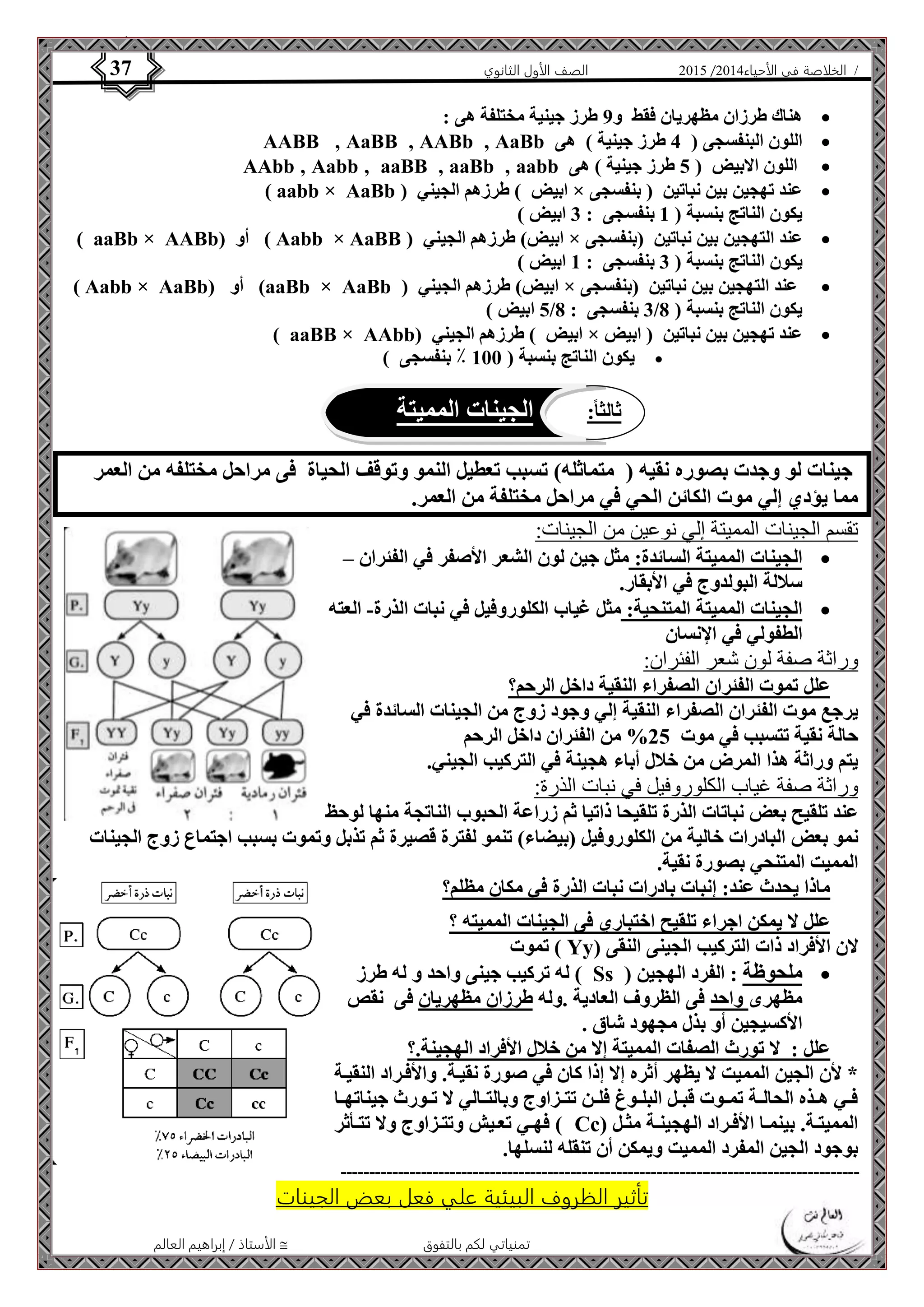 4102 الصف الأول الثانوي 37 / الخلاصة في الأحياء 4102  
هناك طرزان مظهريان فقط و 9 طرز جينية مختلفة هى :  
AABB ‚ AaBB ‚ AABb ‚ AaBb اللون البنفسجى ) 4 طرز جينية ( هى  
AAbb ‚ Aabb ‚ aaBB ‚ aaBb ‚ aabb اللون الابيض ) 5 طرز جينية ( هى  
( aabb × AaBb ( ابيض ( طرزهم الجيني × عند تهجين بين نباتين ) بنفسجى  
يكون الناتج بنسبة ) 1 بنفسجى : 3 ابيض ( 
) aaBb × AABb( أو ( Aabb × AaBB ( ابيض( طرزهم الجيني × عند التهجين بين نباتين )بنفسجى  
يكون الناتج بنسبة ) 3 بنفسجى : 1 ابيض ( 
) Aabb × AaBb( أو (aaBb × AaBb ( ابيض( طرزهم الجيني × عند التهجين بين نباتين )بنفسجى  
5 ابيض ( / 3 بنفسجى : 8 / يكون الناتج بنسبة ) 8 
) aaBB × AAbb( ابيض ( طرزهم الجيني × عند تهجين بين نباتين ) ابيض  
يكون الناتج بنسبة ) 100 ٪ بنفسجى (  
ثالث ا:ً الجينات المميتة 
جينات لو وجدت بصوره نقيه ) متماثله( تسبب تعطيل النمو وتوقف الحياة فى مراحل مختلفه من العمر 
مما يؤدي إلي موت الكائن الحي في مراحل مختلفة من العمر. 
تقسم الجينات المميتة إلي نوعين من الجينات: 
الجينات المميتة السائدة: مثل جين لون الشعر الأصفر في الفئران –  
سلالة البولدوج في الأبقار. 
الجينات المميتة المتنحية: مثل غياب الكلوروفيل في نبات الذرة- العته  
الأستاذ / إبراهيم العالم  تمنياتي لكم بالتفوق 
الطفولي في الإنسان 
وراثة صفة لون شعر الفئران: 
علل تموت الفئران الصفراء النقية داخل الرحم؟ 
يرجع موت الفئران الصفراء النقية إلي وجود زوج من الجينات السائدة في 
حالة نقية تتسبب في موت 25 % من الفئران داخل الرحم 
يتم وراثة هذا المرض من خلال أباء هجينة في التركيب الجيني. 
وراثة صفة غياب الكلوروفيل في نبات الذرة: 
عند تلقيح بعض نباتات الذرة تلقيحا ذاتيا ثم زراعة الحبوب الناتجة منها لوحظ 
نمو بعض البادرات خالية من الكلوروفيل )بيضاء( تنمو لفترة قصيرة ثم تذبل وتموت بسبب اجتماع زوج الجينات 
المميت المتنحي بصورة نقية. 
ماذا يحدث عند: إنبات بادرات نبات الذرة في مكان مظلم؟ 
علل لا يمكن اجراء تلقيح اختباري فى الجينات المميته ؟ 
تموت ) Yy( لان الأفراد ذات التركيب الجينى النقى 
له تركيب جينى واحد و له طرز ) Ss ( ملحوظة : الفرد الهجين  
مظهرى واحد فى الظروف العادية .وله طرزان مظهريان فى نقص 
الأكسيجين أو بذل مجهود شاق . 
علل : لا تورث الصفات المميتة إلا من خلال الأفراد الهجينة.؟ 
* لأن الجين المميت لا يظهر أثره إلا إذا كان في صورة نقيةة. والأفةراد النقيةة 
فةةي هةةذه الحالةةة تمةةوت قبةةل البلةةوغ فلةةن تتةةزاوج وبالتةةالي لا تةةورث جيناتهةةا 
فهةةي تعةةيش وتتةةزاوج ولا تتةةأثر ( Cc) المميتةةة. بينمةةا الأفةةراد الهجينةةة مثةةل 
بوجود الجين المفرد المميت ويمكن أن تنقله لنسلها. 
------------------------------------------------------------------------------------------- 
تأثير الظروف البيئية علي فعل بعض الجينات 
 