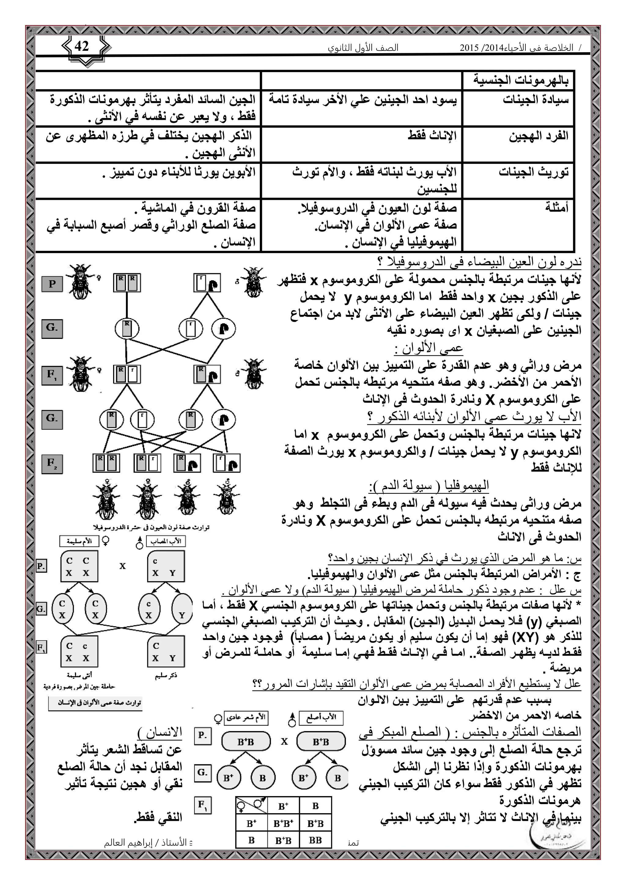 4102 الصف الأول الثانوي 42 / الخلاصة في الأحياء 4102  
بالهرمونات الجنسية 
سيادة الجينات يسود احد الجينين علي الأخر سيادة تامة الجين السائد المفرد يتأثر بهرمونات الذكورة 
فقط ، ولا يعبر عن نفسه في الأنثى . 
الفرد الهجين الإناث فقط الذكر الهجين يختلف في طرزه المظهرى عن 
الأنثى الهجين . 
توريث الجينات الأب يورث لبناته فقط ، والأم تورث 
الأستاذ / إبراهيم العالم  تمنياتي لكم بالتفوق 
للجنسين 
الأبوين يورثا للأبناء دون تمييز . 
أمثلة صفة لون العيون في الدروسوفيلا. 
صفة عمى الألوان في الإنسان. 
الهيموفيليا في الإنسان . 
صفة القرون في الماشية . 
صفة الصلع الوراثي وقصر أصبع السبابة في 
الإنسان . 
ندره لون العين البيضاء فى الدروسوفيلا ؟ 
فتظهر x لأنها جينات مرتبطة بالجنس محمولة على الكروموسوم 
لا يحمل y واحد فقط اما الكروموسوم x على الذكور بجين 
جينات / ولكى تظهر العين البيضاء على الأنثى لابد من اجتماع 
اى بصوره نقيه x الجينين على الصبغيان 
عمى الألوان : 
مرض وراثي وهو عدم القدرة على التمييز بين الألوان خاصة 
الأحمر من الأخضر. وهو صفه متنحيه مرتبطه بالجنس تحمل 
ونادرة الحدوث فى الإناث X على الكروموسوم 
الأب لا يورث عمى الألوان لأبنائه الذكور ؟ 
اما x لانها جينات مرتبطة بالجنس وتحمل على الكروموسوم 
يورث الصفة x لا يحمل جينات / والكروموسوم y الكروموسوم 
للإناث فقط 
الهيموفليا ) سيولة الدم (: 
مرض وراثى يحدث فيه سيوله فى الدم وبطء فى التجلط وهو 
ونادرة X صفه متنحيه مرتبطه بالجنس تحمل على الكروموسوم 
الحدوث فى الاناث 
س: ما هو المرض الذي يورث في ذكر الإنسان بجين واحد؟ 
ج : الأمراض المرتبطة بالجنس مثل عمى الألوان والهيموفيليا. 
س علل : عدم وجود ذكور حاملة لمرض الهيموفيليا ) سيولة الدم( ولا عمى الألوان . 
فقوط ، أموا X * لأنها صفات مرتبطة بالجنس وتحمل جيناتها على الكروموسووم الجنسوي 
فوولا يحموول البووديل )الجووين( المقابوول . وحيووث أن التركيووب الصووبغي الجنسووي (y) الصووبغي 
فهو إما أن يكون سوليم أو يكوون مريضوا ) مصوابا ( فوجوود جوين واحود (XY) للذكر هو 
فقووط لديووه يظهوور الصووفة.. امووا فووي الإنوواث فقووط فهووي إمووا سووليمة أو حاملووة للموورض أو 
مريضة . 
علل لا يستطيع الأفراد المصابة بمرض عمى الألوان التقيد بإشارات المرور؟؟ 
بسبب عدم قدرتهم على التمييوز بوين الالووان 
خاصه الاحمر من الاخضر 
الصفات المتأثره بالجنس : ) الصلع المبكر فى الانسان ( 
ترجع حالة الصلع إلى وجود جين سائد مسوؤل عن تساقط الشعر يتأثر 
بهرمونات الذكورة وإذا نظرنا إلى الشكل المقابل نجد أن حالة الصلع 
تظهر في الذكور فقط سواء كان التركيب الجيني نقي أو هجين نتيجة تأثير 
هرمونات الذكورة 
بينما في الإناث لا تتاثر إلا بالتركيب الجيني النقي فقط. 
 