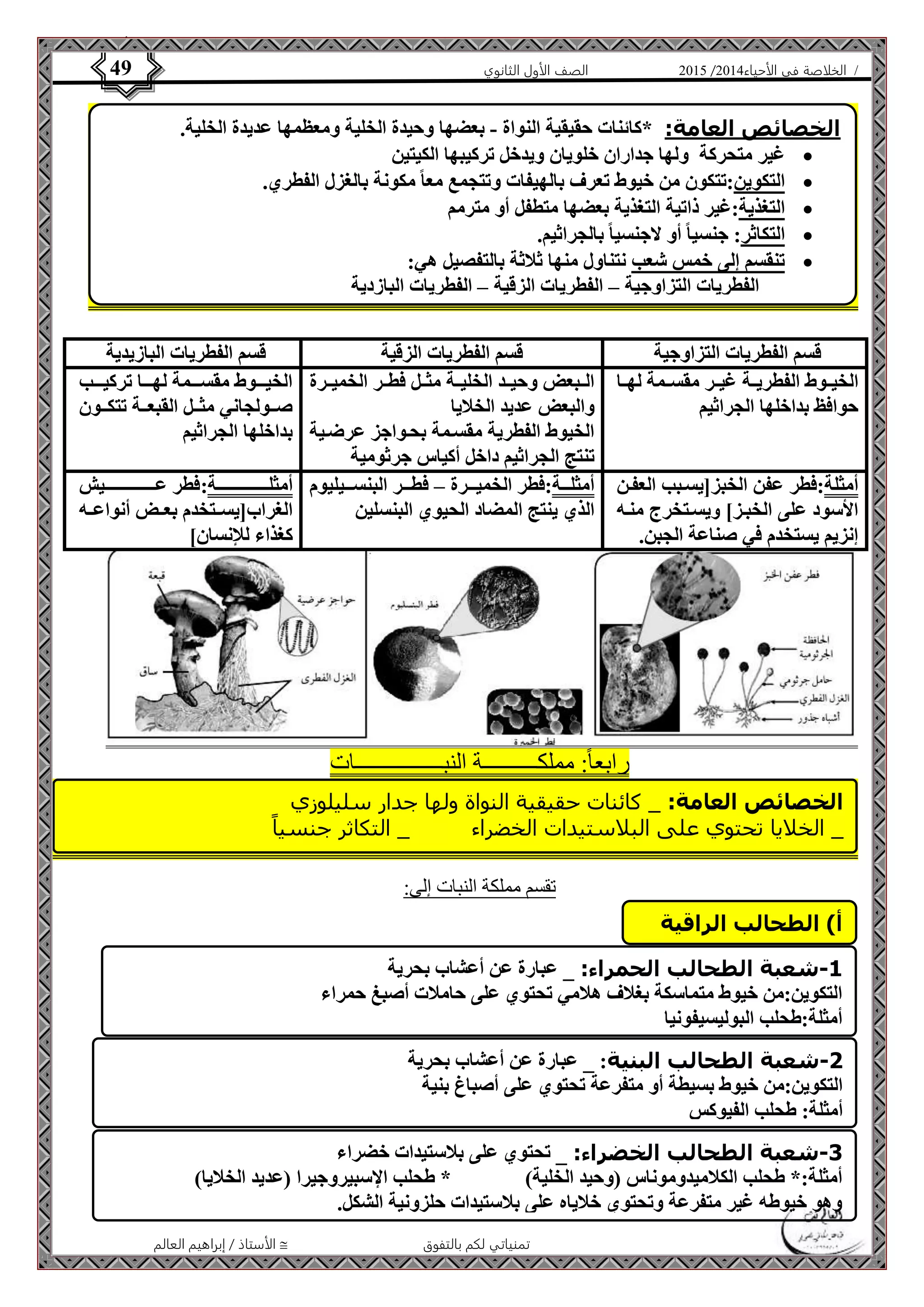 4102 الصف الأول الثانوي 49 / الخلاصة في الأحياء 4102  
الخصائص العامة: *كائنات حقيقية النواة - بعضها وحيدة الخلية ومعظمها عديدة الخلية. 
غير متحركة ولها جداران خلويان ويدخل تركيبها الكيتين  
التكوين:تتكون من خيوط تعرف بالهيفات وتتجمع معا مكونة بالغزل الفطري.  
التغذية:غير ذاتية التغذية بعضها متطفل أو مترمم  
التكاثر: جنسيا أو لاجنسيا بالجراثيم.  
تنقسم إلى خمس شعب نتناول منها ثلاثة بالتفصيل هي:  
الفطريات التزاوجية – الفطريات الزقية – الفطريات البازدية 
قسم الفطريات التزاوجية قسم الفطريات الزقية قسم الفطريات البازيدية 
الخصائص العامة: _ كائنات حقيقية النواة ولها جدار سليلوزي 
_ الخلايا تحتوي على البلاستيدات الخضراء _ التكاثر جنسي ا 
الأستاذ / إبراهيم العالم  تمنياتي لكم بالتفوق 
الخيةةوط الفطريةةة غيةةر مقسةةمة لهةةا 
حوافظ بداخلها الجراثيم 
الةةبعض وحيةةد الخليةةة مثةةل فطةةر الخميةةرة 
والبعض عديد الخلايا 
الخيوط الفطرية مقسةمة بحةواجز عرضةية 
تنتج الجراثيم داخل أكياس جرثومية 
الخيةةةةوط مقسةةةةمة لهةةةةا تركيةةةةب 
صةةةولجاني مثةةةل القبعةةةة تتكةةةون 
بداخلها الجراثيم 
أمثلة:فطر عفن الخبزليسةبب العفةن 
الأسود على الخبةز ويسةتخرج منةه 
إنزيم يستخدم في صناعة الجبن. 
أمثلةةةة:فطر الخميةةةرة – فطةةةر البنسةةةيليوم 
الذي ينتج المضاد الحيوي البنسلين 
أمثلةةةةةةةةةةةةةةةةةةةة:فطر عةةةةةةةةةةةةةةةةةةةيش 
الغرابليسةةتخدم بعةةض أنواعةةه 
كغذاء للإنسان 
رابعا:ً مملكــــــــــة النبــــــــــــــــات 
تقسم مملكة النبات إلى: 
أ( الطحالب الراقية 
-1 شعبة الطحالب الحمراء: _ عبارة عن أعشاب بحرية 
التكوين:من خيوط متماسكة بغلاف هلامي تحتوي على حاملات أصبغ حمراء 
أمثلة:طحلب البوليسيفونيا 
-2 شعبة الطحالب البنية: _ عبارة عن أعشاب بحرية 
التكوين:من خيوط بسيطة أو متفرعة تحتوي على أصباغ بنية 
أمثلة: طحلب الفيوكس 
-3 شعبة الطحالب الخضراء: _ تحتوي على بلاستيدات خضراء 
أمثلة:* طحلب الكلاميدوموناس )وحيد الخلية( * طحلب الإسبيروجيرا )عديد الخلايا( 
وهو خيوطه غير متفرعة وتحتوي خلاياه على بلاستيدات حلزونية الشكل. 
 