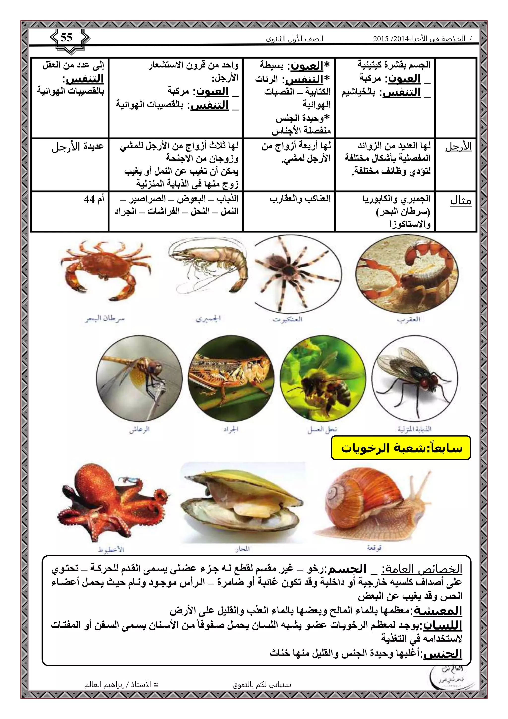 4102 الصف الأول الثانوي 55 / الخلاصة في الأحياء 4102  
الأستاذ / إبراهيم العالم  تمنياتي لكم بالتفوق 
الجسم بقشرة كيتينية 
_ العيون: مركبة 
_ التنفس: بالخياشيم 
*العيون: بسيطة 
*التنفس: الرئات 
الكتابية – القصبات 
الهوائية 
*وحيدة الجنس 
منفصلة الأجناس 
واحد من قرون الاستشعار 
الأرجل: 
_ العيون: مركبة 
_ التنفس: بالقصيبات الهوائية 
إلى عدد من العقل 
التنفس: 
بالقصيبات الهوائية 
اارجل لها العديد من الزوائد 
المفصلية بأشكال مختلفة 
لتؤدي وظائف مختلفة. 
لها أربعة أزواج من 
الأرجل لمشي. 
لها ثلاث أزواج من الأرجل للمشي 
وزوجان من الأجنحة 
يمكن أن تغيب عن النمل أو يغيب 
زوج منها في الذبابة المنزلية 
عديدة اارجل 
مرال الجمبري والكابوريا 
)سرطان البحر( 
والاستاكوزا 
العناكب والعقارب الذباب – البعوض – الصراصير – 
النمل – النحل – الفراشات – الجراد 
أم 44 
سابعاً:شعبة الرخويات 
الخصائص العامة: _ الجسم:رخو – غير مقسم لقطع لةه جةزء عضةلي يسةمى القةدم للحركةة – تحتةوي 
على أصداف كلسيه خارجية أو داخلية وقد تكون غائبة أو ضامرة – الةرأس موجةود ونةام حيةث يحمةل أعضةاء 
الحس وقد يغيب عن البعض 
المعيشة:معظمها بالماء المالح وبعضها بالماء العذب والقليل على الأرض 
اللسان:يوجةد لمعظةم الرخويةات عضةو يشةبه اللسةان يحمةل صةفوفا مةن الأسةنان يسةمى السةفن أو المفتةات 
لاستخدامه في التغذية 
الجنس:أغلبها وحيدة الجنس والقليل منها خناث 
 