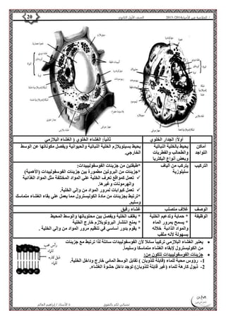 4102 الصف الأول الثانوي 20 / الخلاصة في الأحياء 4102  
أولاً: الجدار الخلوي ثانيا:ً الغشاء الخلوي ) الغشاء البلازمي 
الأستاذ / إبراهيم العالم  تمنياتي لكم بالتفوق 
أماكن 
التواجد 
يحيط بالخلية النباتية 
والطحالب والفطريات 
وبعض أنواع البكتريا 
يحيط بسيتوبلازم الخلية النباتية والحيوانية ويفصل مكوناتها عن الوسط 
الخارجي. 
التركيب يتركب من ألياف 
سليلوزية 
*طبقتين من جزيئات الفوسفوليبيدات: 
*جزيئات من البروتين مطمورة بين جزيئات الفوسفوليبدات )الأهمية( 
تعمل كمواقع تعرف الخلية علي المواد المختلفة مثل المواد الغذائية  
والهرمونات وغيرها. 
تعمل كبوابات لمرور المواد من وإلي الخلية.  
*ترتبط بجزيئات من مادة الكوليسترول مما يعمل علي بقاء الغشاء متماسك 
وسليم. 
الوصف غلاف متصلب غشاء رقيق 
الوظيفة * حماية وتدعيم الخلية 
* يسمح بمرور الماء 
والمواد الذائبة خلاله 
بسهولة لأنه مثقب 
* يغلف الخلية ويفصل بين محتوياتها والوسط المحيط 
* يمنع انتشار البروتوبلازم خارج الخلية 
* يقوم بدور أساسي في تنظيم مرور المواد من وإلي الخلية . 
يعتبر الغشاء البلازمي تركيبا سائلا لأن الفوسفوليبدات سائلة لذا ترتبط مع جزيئات  
من الكوليسترول لإبقاء الغشاء متماسكا وسليما.ً 
جزيئات الفوسفوليبيدات تتكون من:  
-1 رؤوس محبة للماء )قابلة للذوبان ( تقابل الوسط المائي خارج وداخل الخلية. 
-2 ذيول كارهة للماء )غير قابلة للذوبان( توجد داخل حشوة الغشاء. 
 