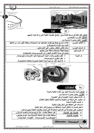 4102 الصف الأول الثانوي 21 / الخلاصة في الأحياء 4102  
ثالث اً النواة 
المكان: تقع غالبا في وسط الخلية وهي أوضح عضيات الخلية التي تراها تحت المجهر. 
أشكالها: الكروي والبيضاوي. 
التكوين: تتكون بصورة أساسية من: 
1. الغلاف النووي: غشاء مزدوج يحيط بها يفصل مكوناتها عن السيتوبلازم يتخلله ثقوب تمر من خلالها 
المواد بين النواة والسيتوبلازم. 
2. السائل النووي: سائل هلامي شفاف. يحتوي علي الكروماتين. 
3. الكروماتين خيوط دقيقة متشابكة وملتفة حول بعضها. 
يتحول فى بداية الانقسام الخلوي إلي الكروموسومات )الصبغيات( 
تقوم بتكوين وإفراز المواد البروتينية مثل: الإنزيمات والهرمونات.  4. النوية 
تقوم بتكوين الريبوسومات.  
قد توجد أكثر من نوية بنواة الخلية خصوصا بالخلايا المتخصصة.  
المكان: شبه سائل يملأ الحيز بين غشاء الخلية والنواة  
الأستاذ / إبراهيم العالم  تمنياتي لكم بالتفوق 
التكوين: يتكون بصورة أساسية من:  
-1 الماء وبعض المواد العضوية وغير العضوية 
-2 يحتوي علي شبكة من الخيوط والأنابيب الدقيقة )هيكل الخلية( 
تكسب الخلية الدعامة  
تساعد علي الحفاظ علي شكل وقوام الخلية.  
تعمل كمسارات لانتقال المواد المختلفة من موضع لآخر داخل الخلية  
يحتوي علي مجموعة من التراكيب المتنوعة التي تعرف بعضيات الخلية ومهي نوعان:  
عضيات غير غشائية: غير محاطة بغشاء. مثل الريبوسومات والجسم المركزي.  
عضيات غشائية: محاطة بغشاء مثل الشبكة الإندوبلازمية- أجسام جولجي-  
الميتوكوندريا- الليسوسومات – الفجوات- البلاستيدات. 
رابع اً السيتوبلازم 
 