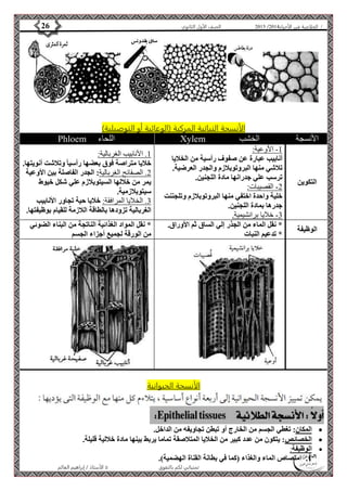 4102 الصف الأول الثانوي 26 / الخلاصة في الأحياء 4102  
الأنسجة النباتية المركبة )الوعائية أو التوصيلية( 
Phloem اللحاء Xylem الأنسجة الخشب 
الأستاذ / إبراهيم العالم  تمنياتي لكم بالتفوق 
التكوين 
-0 الأوعية: 
أنابيب عبارة عن صفوف رأسية من الخلايا 
تلاشي منها البروتوبلازم والجدر العرضية. 
ترسب علي جدرانها مادة اللجنين. 
-4 القصيبات: 
خلية واحدة اختفي منها البروتوبلازم وتلجننت 
جدرها بمادة اللجنين. 
-3 خلايا برانشيمية. 
0. الأنابيب الغربالية: 
خلايا متراصة فوق بعضها رأسيا وتلاشت أنويتها. 
4. الصفائح الغربالية: الجدر الفاصلة بين الأوعية 
يمر من خلالها السيتوبلازم علي شكل خيوط 
سيتوبلازمية. 
3. الخلايا المرافقة: خلايا حية تجاور الأنابيب 
الغربالية تزودها بالطاقة اللازمة للقيام بوظيفتها. 
الوظيفة 
* نقل الماء من الجذر إلي الساق ثم الأوراق. 
* تدعيم النبات 
* نقل المواد الغذائية الناتجة من البناء الضوئي 
من الورقة لجميع أجزاء الجسم 
الأنسجة الحيوانية 
المكان: تغطي الجسم من الخارج أو تبطن تجاويفه من الداخل.  
الخصائص: يتكون من عدد كبير من الخلايا المتلاصقة تماما يربط بينها مادة خلالية قليلة.  
الوظيفة:  
1. امتصاص الماء والغذاء )كما في بطانة القناة الهضمية(. 
 