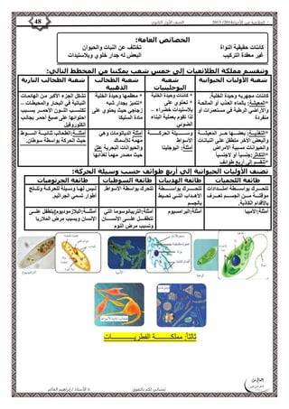 4102 الصف الأول الثانوي 48 / الخلاصة في الأحياء 4102  
الخصائص العامة: 
كائنات حقيقية النواة تختلف عن النبات والحيوان 
غير معقدة التركيب البعض له جدار خلوي وبلاستيدات 
وتنقسم مملكة الطلائعيات إلى خمس شعب يمكننا من المخطط التالي: 
شعبة الأوليات الحيوانية شعبة 
اليوجلينيات 
شعبة الطحالب 
الذهبية 
شعبة الطحالب النارية 
الأستاذ / إبراهيم العالم  تمنياتي لكم بالتفوق 
كائنات مجهريه وحيدة الخلية. 
*المعيشة: بالماء العةذب أو المالحةة 
والأراضي الرطبة في مستعمرات أو 
منفردة 
* كائنات وحيدة الخلية 
* تحتوي على 
بلاستيدات خضراء – 
لذا تقوم بعملية البناء 
الضوئي 
* معظمها وحيدة الخلية 
*تتميز بجدار شبه 
زجاجي حيث يحتوي على 
مادة السليكا 
تشكل الجزء الأكبر مةن الهائمةات 
النباتية في البحةار والمحيطةات – 
تكتسةةةةب اللةةةةون الأحمةةةةر بسةةةةبب 
احتوائها على صبغ أحمةر بجانةب 
الكلوروفيل 
*التغذيةةةةة: بعضةةةةها حةةةةر المعيشةةةةة 
والبعض الأخر متطفل علةى النباتةات 
والحيوانات مسببة الأمراض 
*التكاثر:جنسيا أو لاجنسيا *تنقسم إلى أربع طوائف 
وسةةةةةةةةةةةيلة الحركةةةةةةةةةةةة 
الأسواط 
أمثلة: اليوجلينا 
أمثلة الدياتومات وهي 
مهمة للأسماك 
والحيوانات البحرية علل 
حيث مصدر مهماً لغذائها 
أمثلةةةةة:الطحالب ثنائيةةةةة السةةةةوط 
حيث الحركة بواسطة سوطان. 
تصنف الأوليات الحيوانية إلي أربع طوائف حسب وسيلة الحركة: 
طائفة اللحميات طائفة الهدبيات طائفة السوطيات طائفة الجرثوميات 
تتحةةةةةةرك بواسةةةةةةطة امتةةةةةةدادات 
مؤقتةةةةةة مةةةةةن الجسةةةةةم تعةةةةةرف 
بالأقدام الكاذبة. 
تتحةةةةةةةةرك بواسةةةةةةةةطة 
الأهةةةداب التةةةي تحةةةيط 
بالجسم 
تتحرك بواسطة الأسواط. لةةيس لهةةا وسةةيلة للحركةةة وتنةةةتج 
أطوار تسمي الجراثيم. 
أمثلة:الأميبا أمثلة:البرامسيوم أمثلة:التريبانوسوما التي 
تتطفةةةةةةل علةةةةةةى الإنسةةةةةةان 
وتسبب مرض النوم 
أمثلةةةةة:البلازموديومليتطفل علةةةةةى 
الإنسان ويسبب مرض الملاريا 
ثالثا:ً مملكـــــــــة الفطريـــــــــــــات 
 