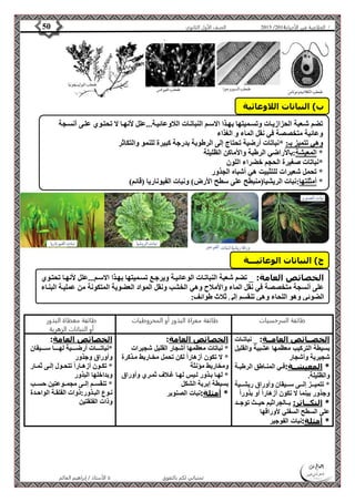 4102 الصف الأول الثانوي 50 / الخلاصة في الأحياء 4102  
تضم شةعبة الحزازيةات وتسةميتها بهةذا الاسةم النباتةات اللاوعائيةة...علل لأنهةا لا تحتةوي علةى أنسةجة 
وعائية متخصصة في نقل الماء و الغذاء 
وهي تتميز بـ: *نباتات أرضية تحتاج إلى الرطوبة بدرجة كبيرة للنمو والتكاثر 
* المعيشة:بالأراضي الرطبة والأماكن الظليلة 
*نباتات صغيرة الحجم خضراء اللون 
* تحمل شعيرات للتثبيت هي أشباه الجذور 
* أمثلتها:نبات الريشيا)منبطح على سطح الأرض( ونبات الفيوناريا )قائم( 
طائفة السرخسيات طائفة معراة البذور أو المخروطيات طائفة مغطاة البذور 
أو النباتات الزهرية 
الأستاذ / إبراهيم العالم  تمنياتي لكم بالتفوق 
الخصــائص العامــة: _ نباتةةات 
بسيطة التركيب معظمها عشبية والقليل 
شجيرية وأشجار 
* المعيشــة:فةةي المنةةاطق الرطبةةة 
والظليلة. 
* تتميةةةز إلةةةى سةةةيقان وأوراق ريشةةةية 
وجذور بينما لا تكون أزهاراً أو بذور اً 
* التكـــاثر: بةةةالجراثيم حيةةةث توجةةةد 
على السطح السفلي لأوراقها 
* أمثلة:نبات الفوجير 
الخصائص العامة: 
* نباتات معظمها أشجار القليل شجيرات 
* لا تكون أزهاراً لكن تحمل مخةاريط مةذكرة 
ومخاريط مؤنثة 
* لهةا بةةذور لةيس لهةةا غةلاف ثمةةري وأوراق 
بسيطة إبرية الشكل 
* أمثلة:نبات الصنوبر 
الخصائص العامة: 
*نباتةةةةةات أرضةةةةةية لهةةةةةا سةةةةةيقان 
وأوراق وجذور 
* تكةةون أزهةةاراً تتحةةول إلةةى ثمةةار 
وبداخلها البذور 
* تنقسةةم إلةةى مجمةةوعتين حسةةب 
نةةوع البةةذور:ذوات الفلقةةة الواحةةدة 
وذات الفلقتين 
ب( النباتات اللاوعائية 
ج( النباتات الوعائيـــة 
الخصائص العامة: _ تضم شعبة النباتةات الوعائيةة ويرجةع تسةميتها بهةذا الاسةم...علل لأنهةا تحتةوي 
على أنسجة متخصصة في نقل الماء والأملاح وهي الخشب ونقل المواد العضوية المتكونة من عمليةة البنةاء 
الضوئي وهو اللحاء وهي تنقسم إلى ثلاث طوائف: 
 