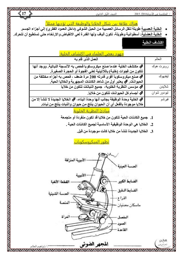 4102 الصف الأول الثانوي 17 / الخلاصة في الأحياء 4102  
هناك علاقة بين شكل الخلايا والوظيفة التي تؤديها فمثلاً: 
الخلية ال...