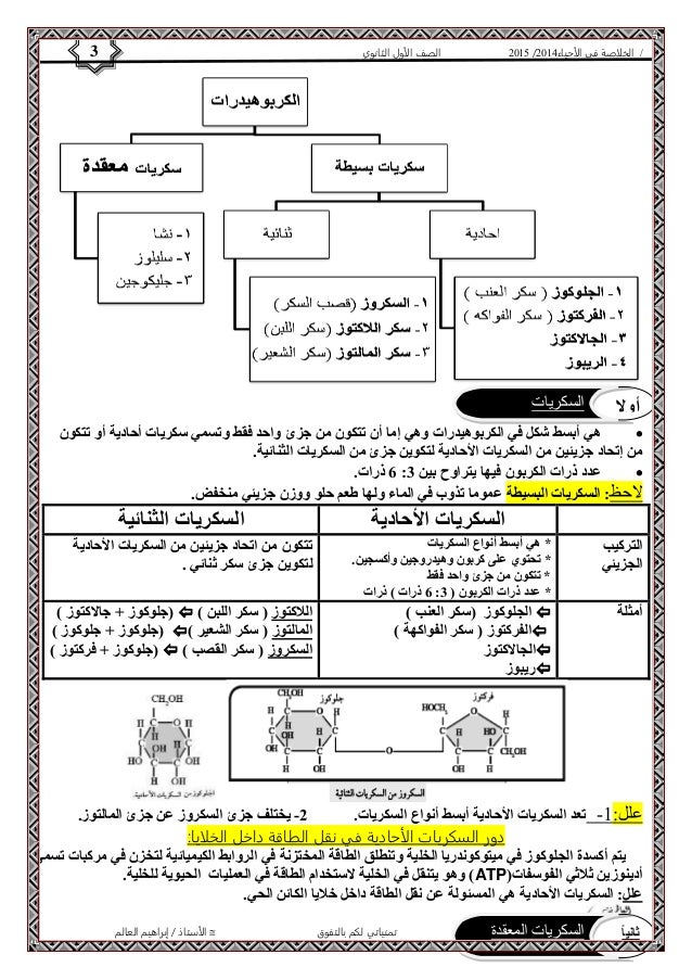 4102 الصف الأول الثانوي 3 / الخلاصة في الأحياء 4102  
أولا السكريات 
البسيطة 
هي أبسط شكل في الكربوهيدرات وهي إما أن تتكو...