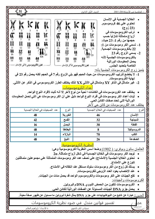 4102 الصف الأول الثانوي 31 / الخلاصة في الأحياء 4102  
الأستاذ / إبراهيم العالم  تمنياتي لكم بالتفوق 
الخلايا الجسدية في...