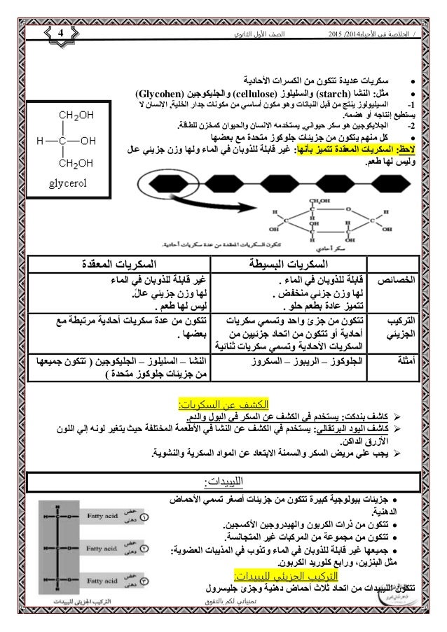 4102 الصف الأول الثانوي 4 / الخلاصة في الأحياء 4102  
سكريات عديدة تتكون من الكسرات الأحادية  
(Glycohen) والجليكوجين (c...