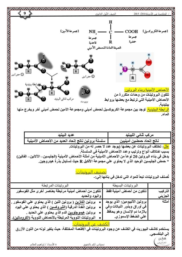 4102 الصف الأول الثانوي 9 / الخلاصة في الأحياء 4102  
الأحماض الأمينية وبناء البروتين: 
تتكون البروتينات من وحدات متكررة ...