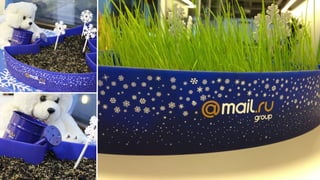 Брендированные зонты
14
 