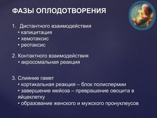 ФАЗЫ ОПЛОДОТВОРЕНИЯ
1. Дистантного взаимодействия
• капицитация
• хемотаксис
• реотаксис
2. Контактного взаимодействия
• акросомальная реакция
3. Слияние гамет
• кортикальная реакция – блок полиспермии
• завершение мейоза – преврашение овоцита в
яйцеклетку
• образование женского и мужского пронуклеусов
 