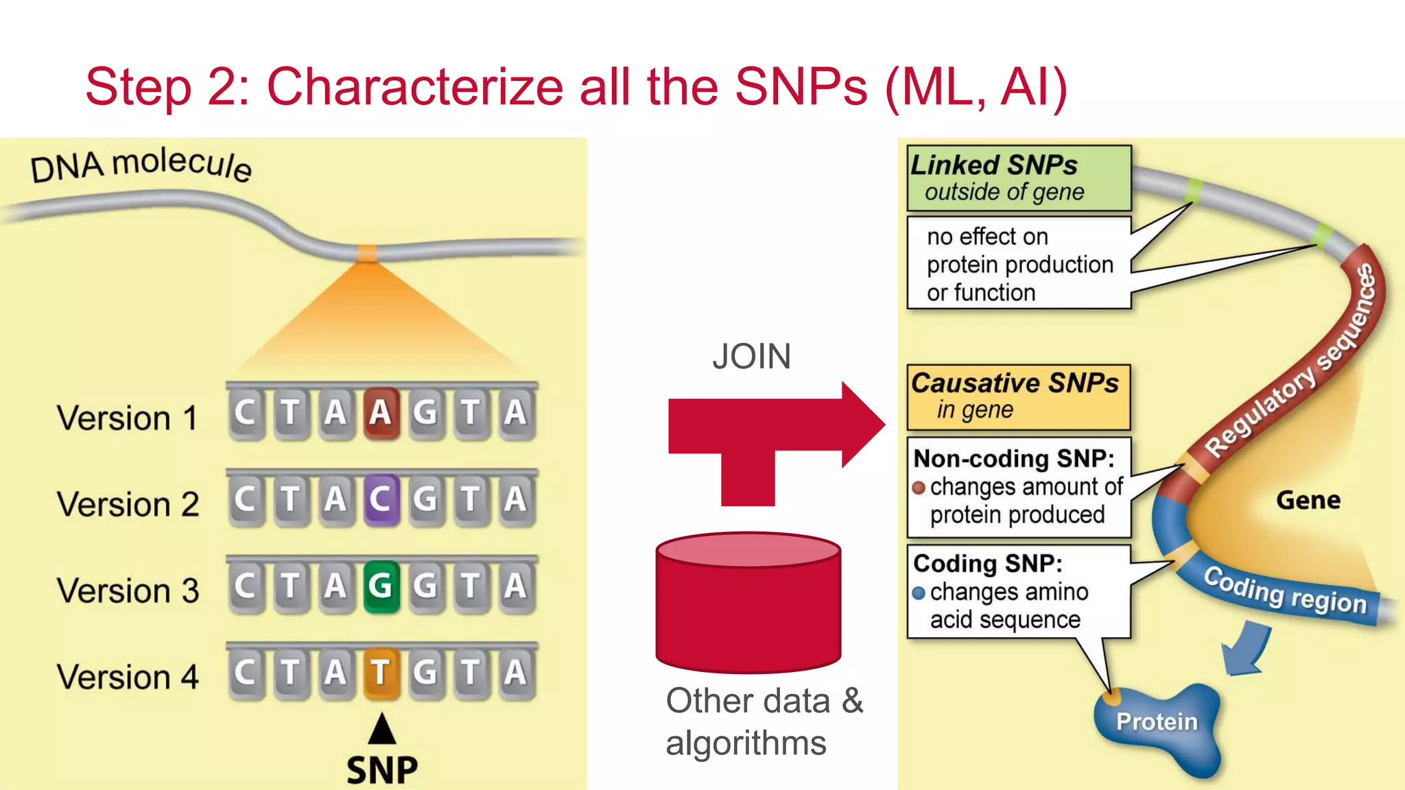 © 2014 MapR Technologies 10
Step 2: Characterize all the SNPs (ML, AI)
Other data &
algorithms
JOIN
 