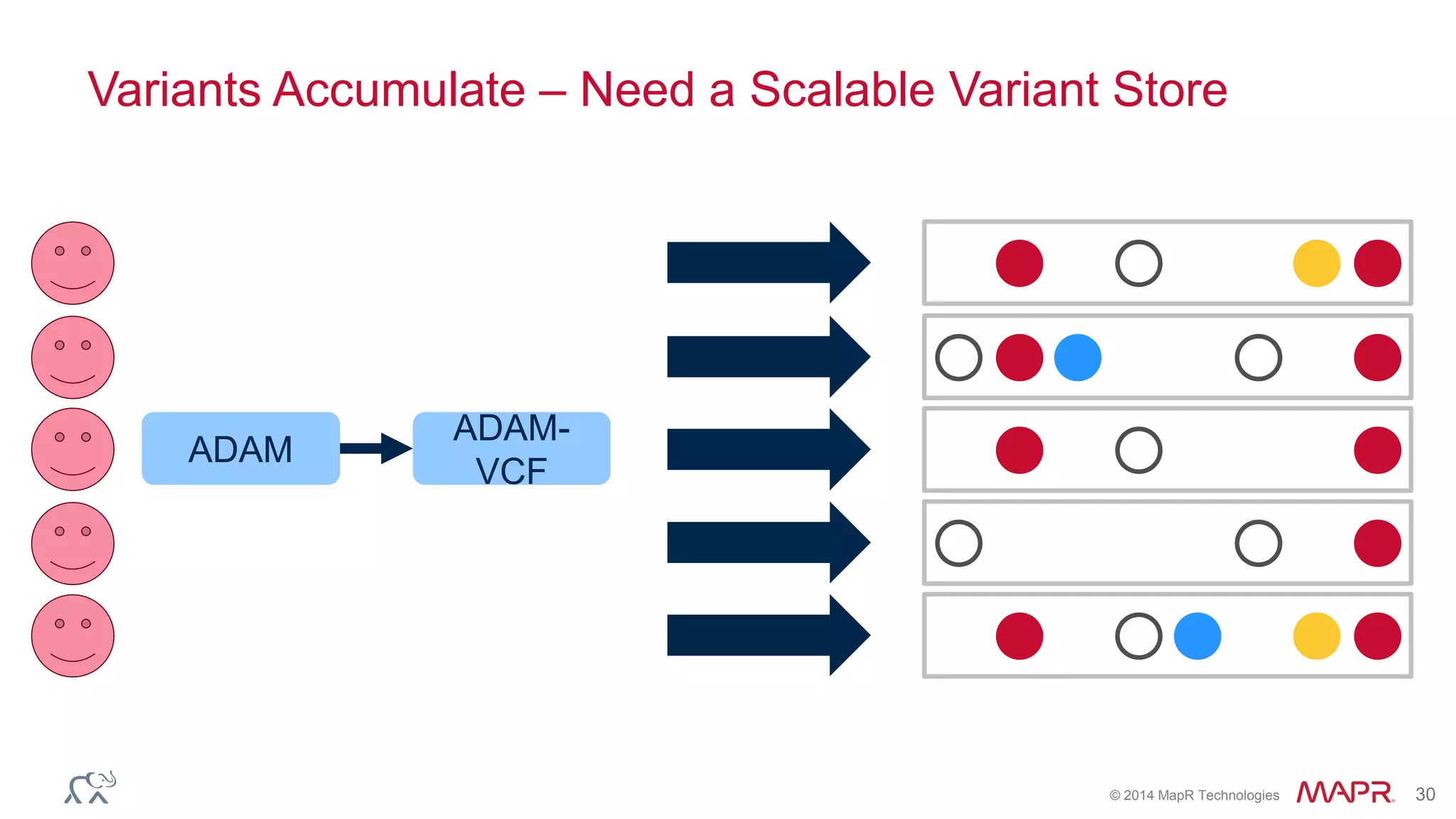 © 2014 MapR Technologies 30
Variants Accumulate – Need a Scalable Variant Store
ADAM
ADAM-
VCF
 