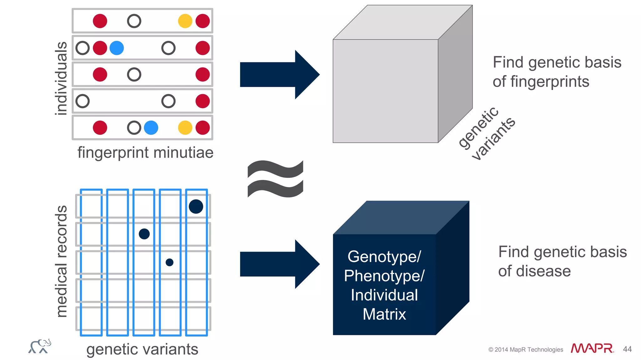 © 2014 MapR Technologies 44
Genotype/
Phenotype/
Individual
Matrix
≈
individuals
fingerprint minutiae
Find genetic basis
of fingerprints
medicalrecords
genetic variants
Find genetic basis
of disease
 