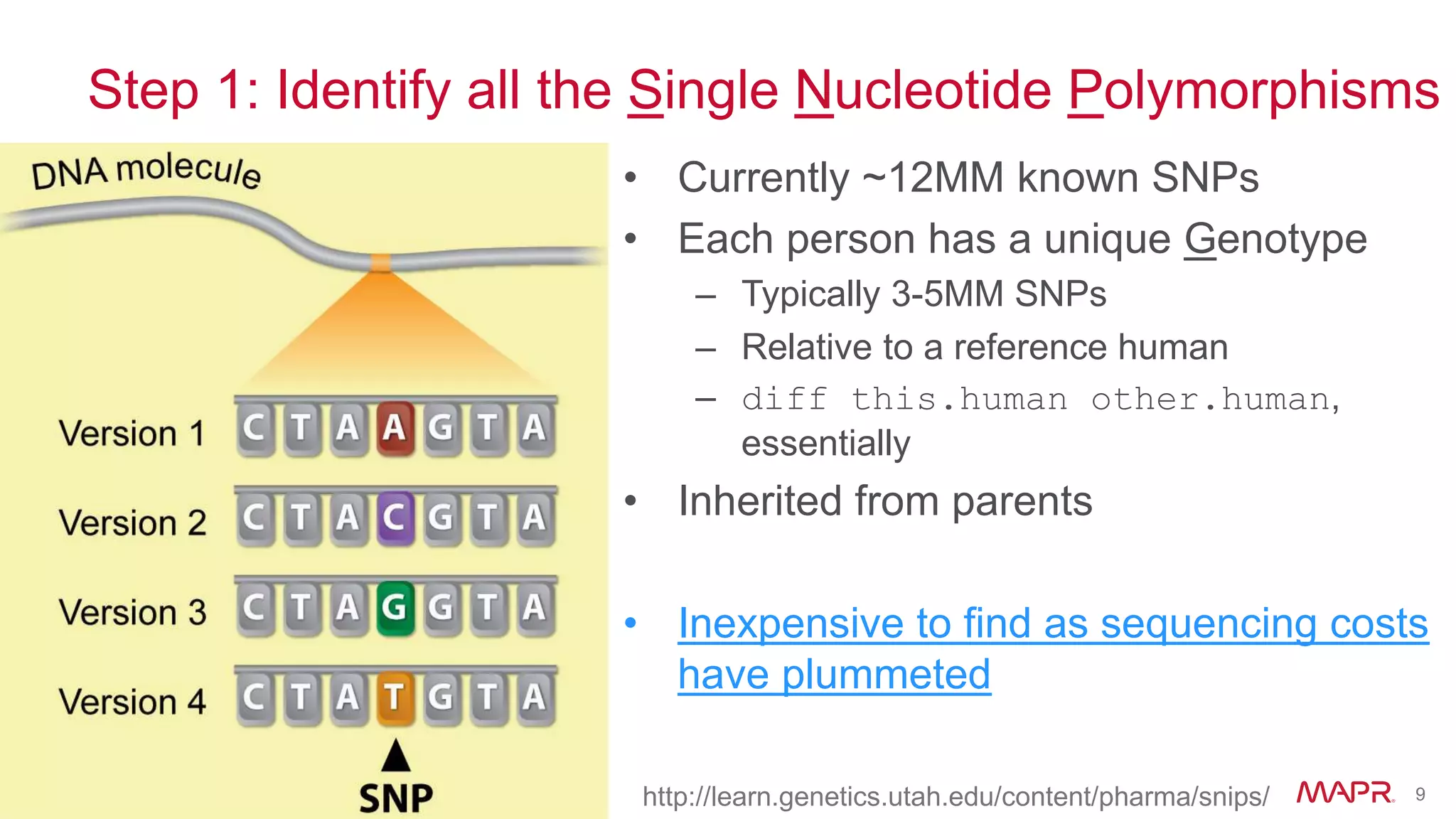 © 2014 MapR Technologies 9
Step 1: Identify all the Single Nucleotide Polymorphisms
• Currently ~12MM known SNPs
• Each person has a unique Genotype
– Typically 3-5MM SNPs
– Relative to a reference human
– diff this.human other.human,
essentially
• Inherited from parents
• Inexpensive to find as sequencing costs
have plummeted
http://learn.genetics.utah.edu/content/pharma/snips/
 