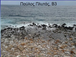 Παύλος Πλυτάς, Β3
 