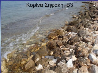 Κορίνα Σηφάκη, Β3
 