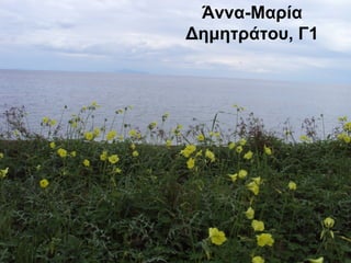 Άννα-Μαρία
Δημητράτου, Γ1
 