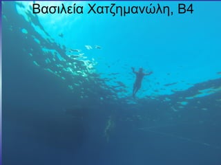 Βασιλεία Χατζημανώλη, Β4
 