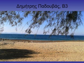 Δημήτρης Παδουβάς, Β3
 