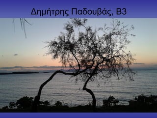 Δημήτρης Παδουβάς, Β3
 