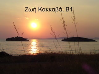 Ζωή Κακκαβά, Β1
 