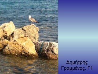 Δημήτρης
Γραμμένος, Γ1
 