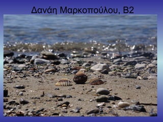 Δανάη Μαρκοπούλου, Β2
 