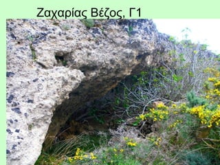 Ζαχαρίας Βέζος, Γ1
 