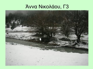 Άννα Νικολάου, Γ3
 