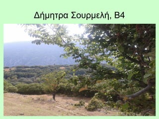 Δήμητρα Σουρμελή, Β4
 