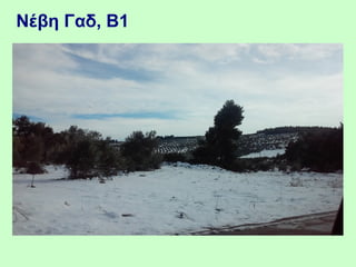 Nέβη Γαδ, Β1
 