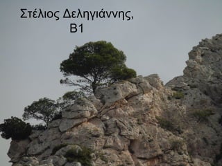 Στέλιος Δεληγιάννης,
Β1
 