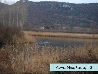 Άννα Νικολάου, Γ3
 