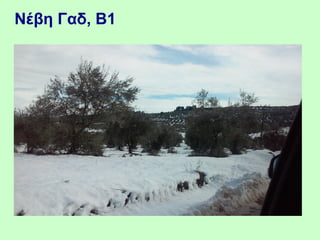 Nέβη Γαδ, Β1
 