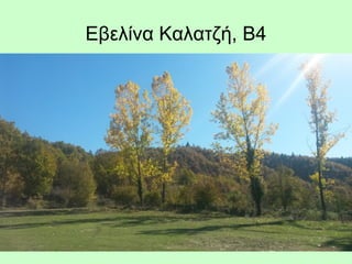 Εβελίνα Καλατζή, Β4
 