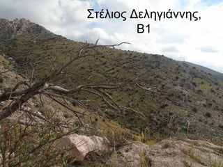 Στέλιος Δεληγιάννης,
Β1
 