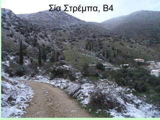 Σία Στρέμπα, Β4
 