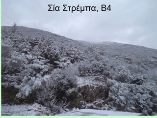 Σία Στρέμπα, Β4
 