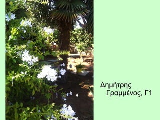 Δημήτρης
Γραμμένος, Γ1
 