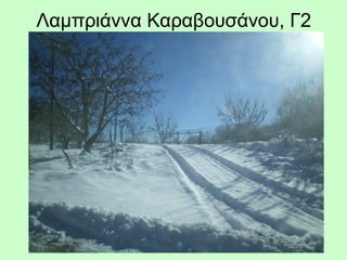 Λαμπριάννα Καραβουσάνου, Γ2
 