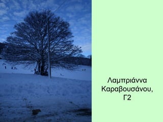 Λαμπριάννα
Καραβουσάνου,
Γ2
 