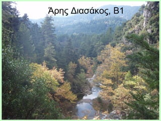 Άρης Διασάκος, Β1
 