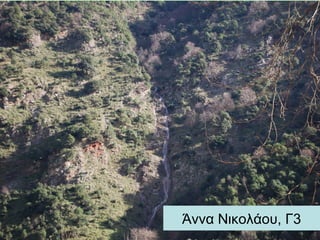 Άννα Νικολάου, Γ3
 