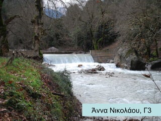 Άννα Νικολάου, Γ3
 