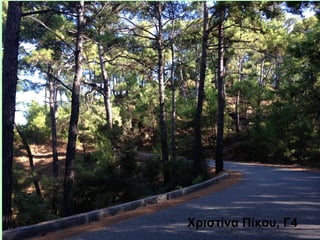 Χριστίνα Πίκου, Γ4
 