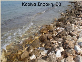 Κορίνα Σηφάκη, Β3
 